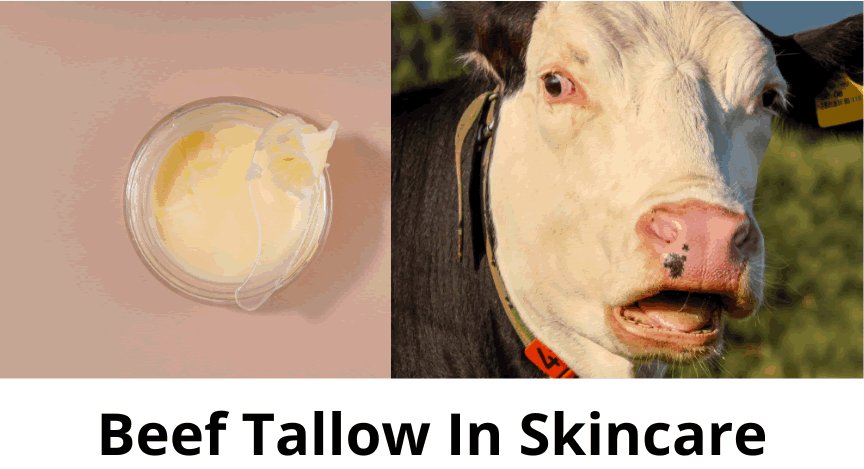 Beef Tallow In Skincare